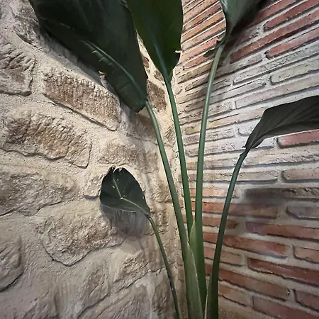 El Encuentro Bed & Breakfast 3*